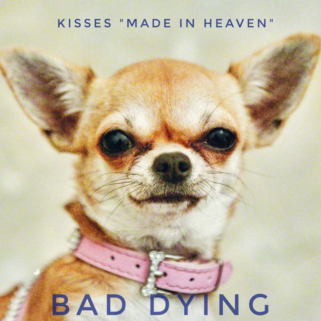 BAD Dying | elctronic and analogue in various styles | Indie Music Artists